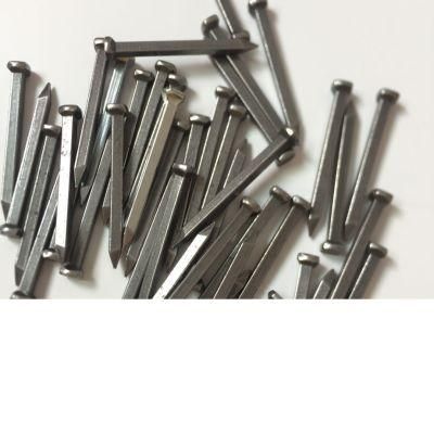 Vietnam Philippines Singapore Market/Galvanized White Zinc Square Boat Nail Concrete