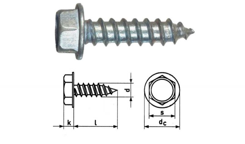 C1022 Bright Galvanized Hexagon Head Self Tapping Screws