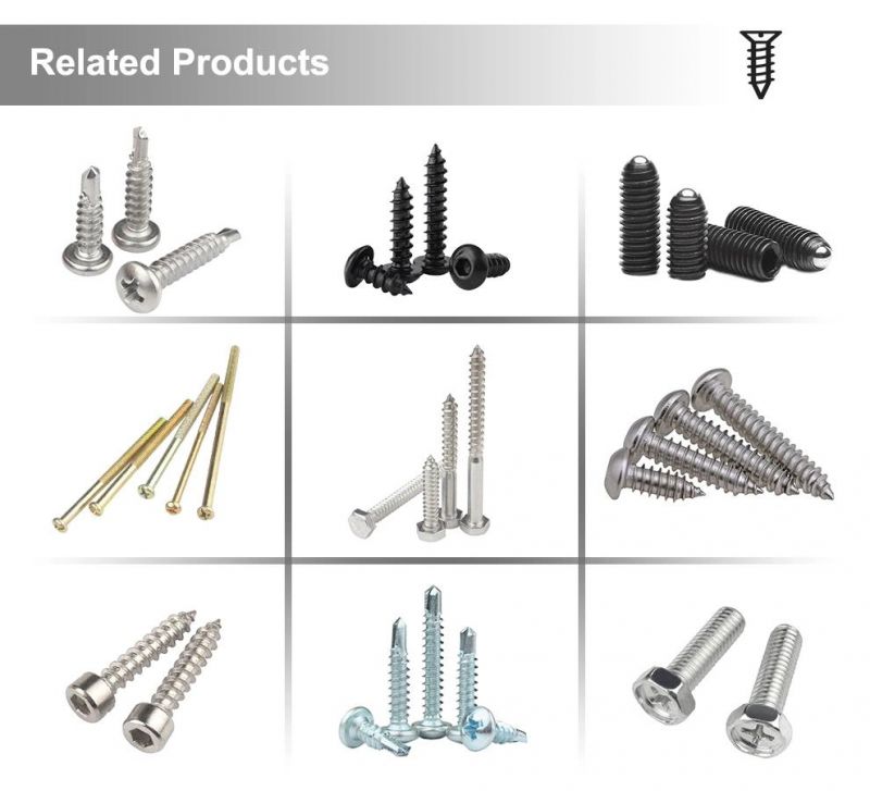 Obm/ODM/OEM Service Metras Head Internal Hexagonal Grub Set Screw