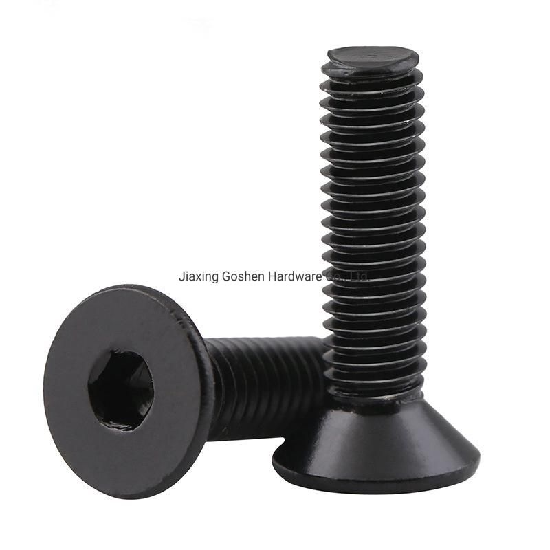 Black Stainless Steel Hex Socket Countersunk Head Screws