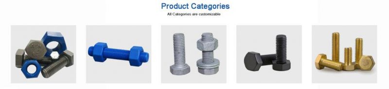 Heavy Hex Bolt Structural Bolts Socket Head Cap Bolt U Bolt Carriage Bolt Flange Bolt Coach Bolt T Bolt Anchor Bolt Guardrail Bolt Track Bolt for Buildings