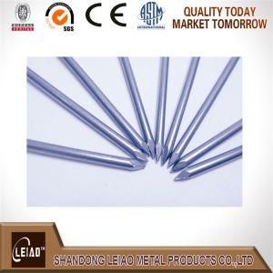 China Supply Common Nails for Sale