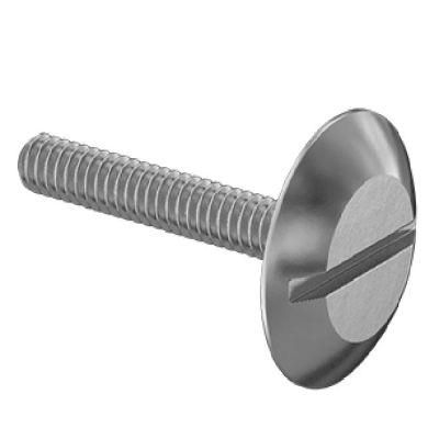 Stainless Steel Metric Low Profile Ultra Wide Truss Head Slotted Screw M8 M10