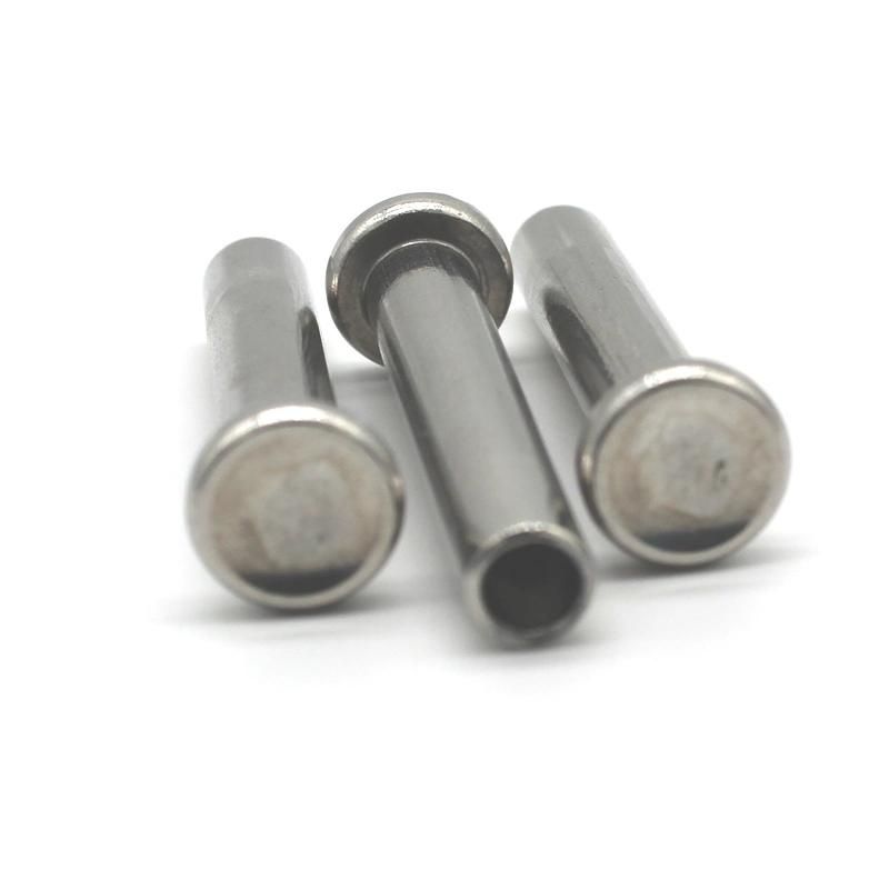 Solid Rivets/ Hollow Tubular Rivets/Semi Tubular Rivets Nuts Automative Fastener