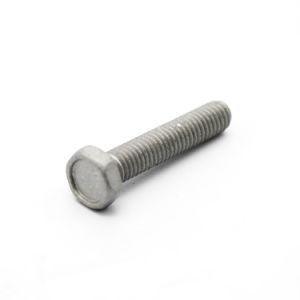 Stainless Steel Nut and Machine Bolt