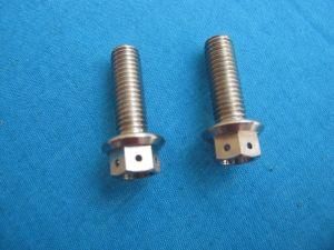 Titanium Bolts