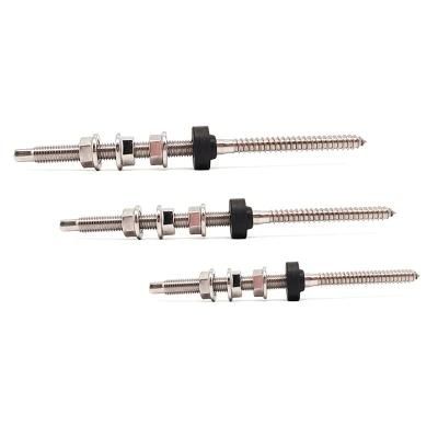 Ss201 Stainless Steel Wood Thread Screw M10 Dowel Screw for Solar Mounting
