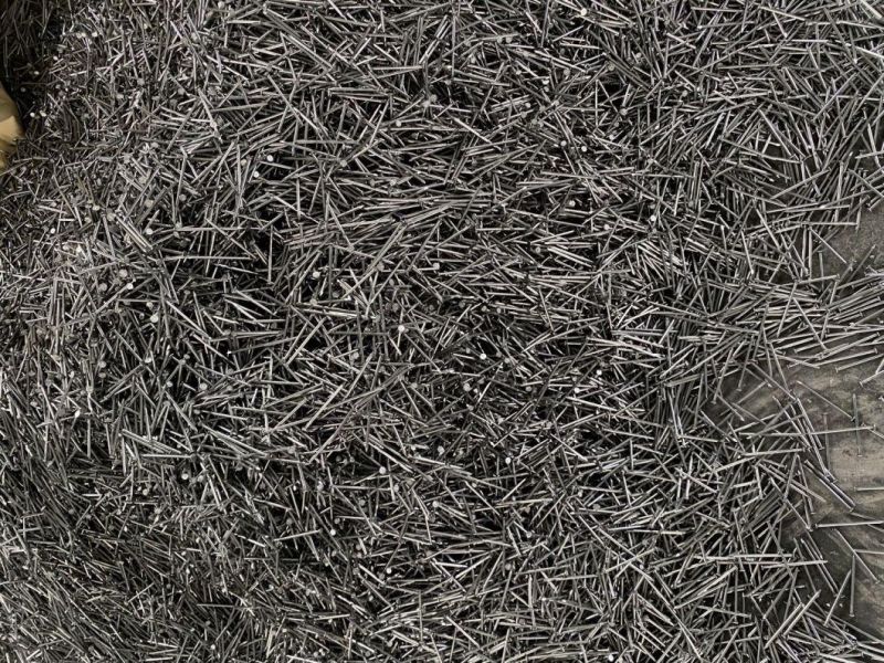 Common Nail Wire Nail Iron Wire Nail with Best Price Good Quality