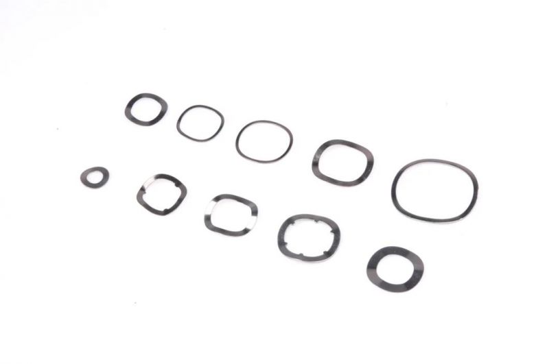 Two Waveform Locking and Tight Spring Washers