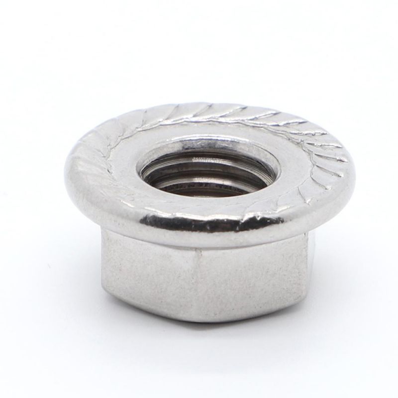 DIN6923 Different Types Large Hex Flange Nut with Serrated SS304/SS316 Stainless Steel