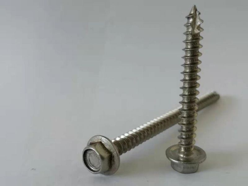 Stainless Steel 316 Hex Indent Flange Self Tapping Screw Type 17 (hardware & fasteners)