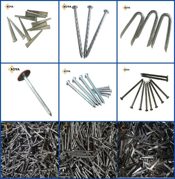 Galvanized Assemle Roofing Nail/Umbrella Nail/Pallet Nail/Iron Nail/Hardware/Building Nail