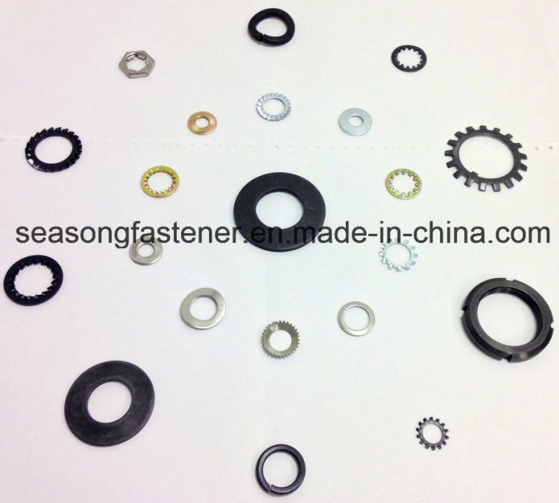 Stainless Steel Safety Lock Washer / Ribbed Washer (DIN9250)