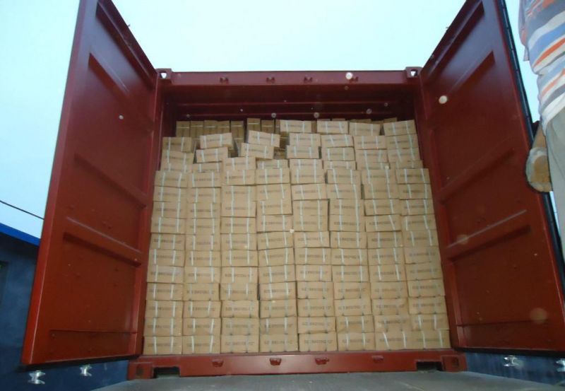 Common Nails/Coil Roofing Nail on Sale