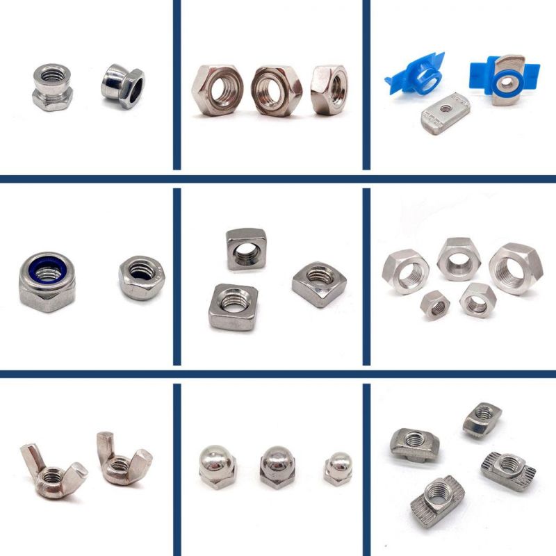 A2-70 A4-80 China Manufacture Factory Supply Anti-Theft Twist Shear Breakaway Nut