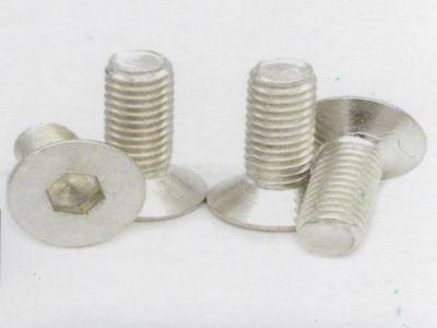 Aluminium Counttersunk Soket Head Cap Screw