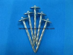 Screw/Twisted Shank Roofing Screw (Roofing Nail)