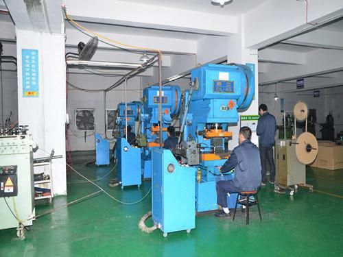 Supply All Kind of Spring Washer with Electroplating (HS-SW-0015)