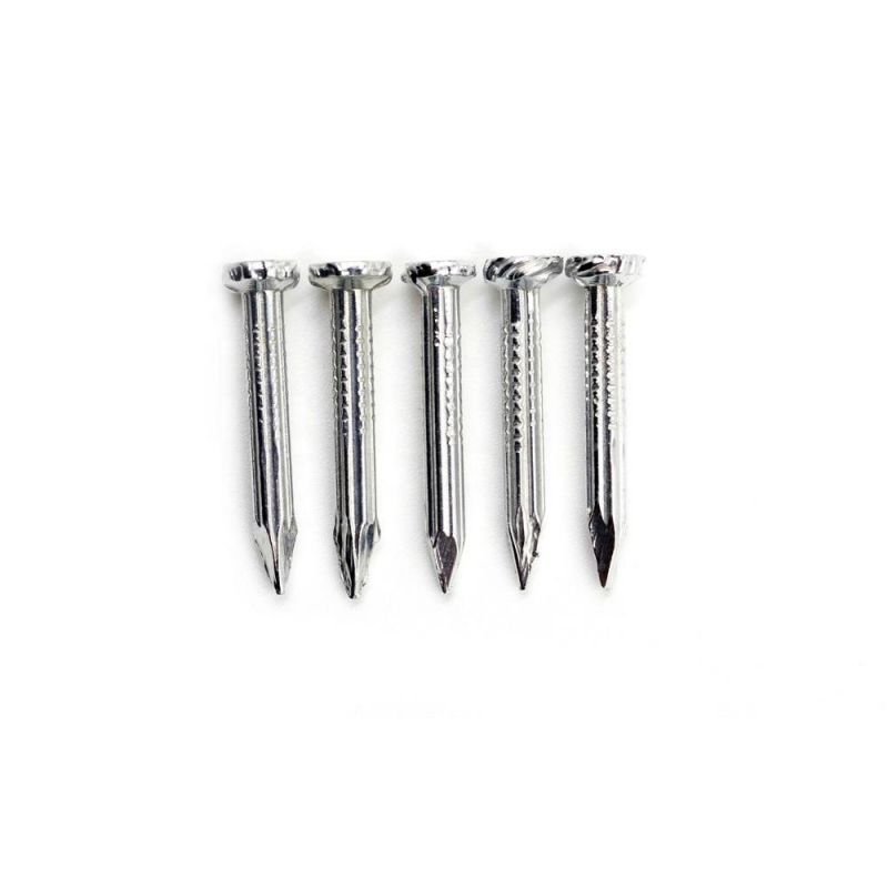 Tianjin Factory Direct Wholesale Hot Sale Electro Galvanized Concrete Nails for Building Construction