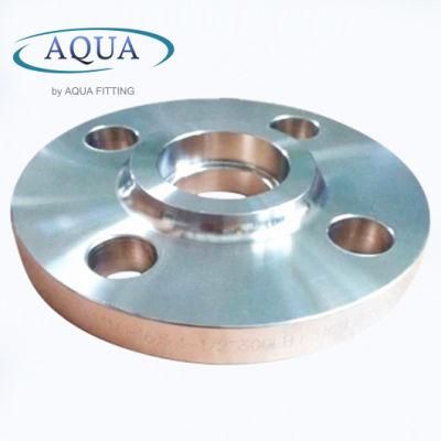 CE 304 316 Stainless Steel Forged Plate Flange