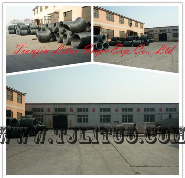 Nails, Good Quality Ploished Common Iron Wire Nails/Clavo (1/2"-6")
