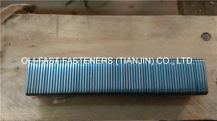 16ga Prebena Wc Staples, 1" Width Crown Staples
