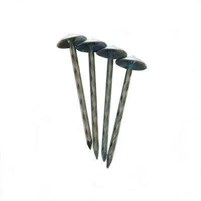 Galvanized Smooth Umbrella Head Roofing Nails with Carton Gunny Bag