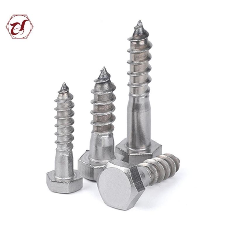 Common Bolt DIN571 Stainless Steel A4 Lag Coach Screw