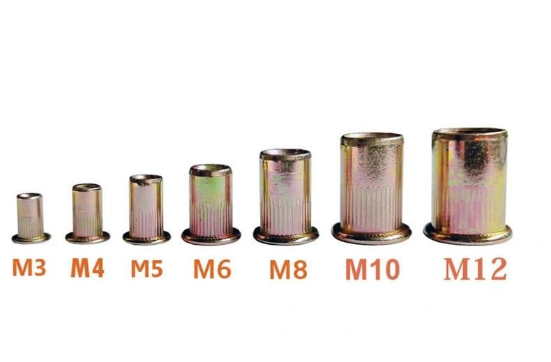 Blind Rivet Nuts Zinc Plated 304 Nuts Rivet Nuts Set