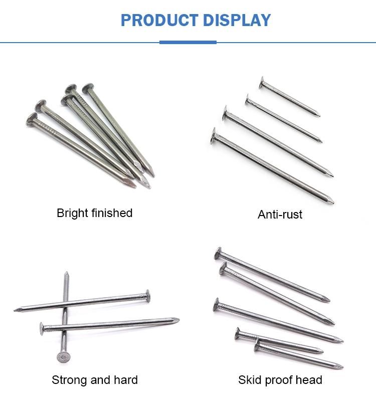 Q195 Iron Wire Common Nail with Factory Price