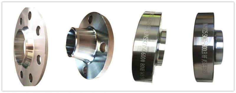 Stainless Steel Plate Flange Forged Ring Without Holes