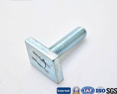 High Quality Square Head Bolt/ T Head Screw with Zinc-Plated Class 8.8