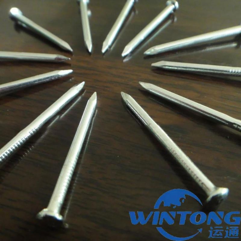 Twill Concrete Nails/Concrete Nail
