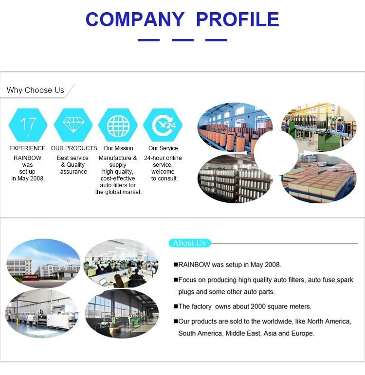 Professional China Manufacturer OEM Colored Automotive Nylon Fasteners