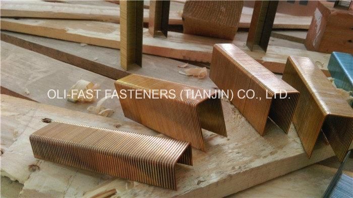 Senco P Staples 1" Crown