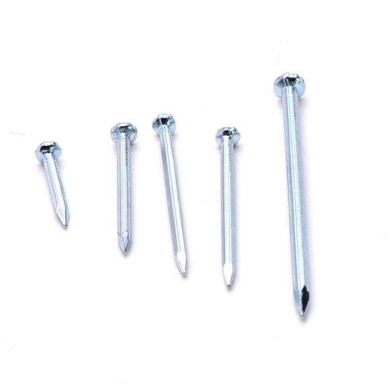 Steel Nails Concrete Stainless Steel Concrete Nails Black 4 Inch Concrete Nails1 Buyer