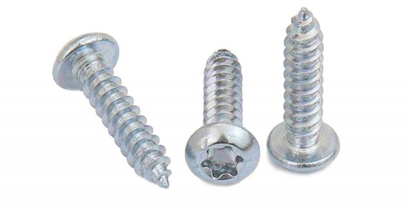High Quality Torx Tx-Star Drive Pan Head C1022 Black Clear Zinc Plated Self Tapping Screw/Sheet Metal Screws