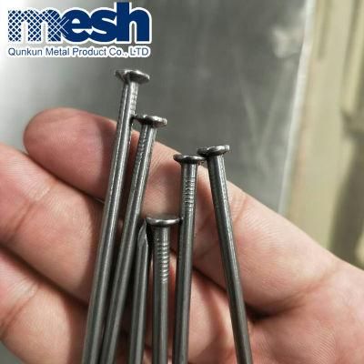 Common Nails/Coil Roofing Nail on Sale