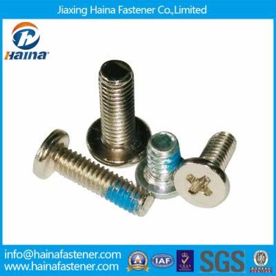 Small Machine Screw M0.8 Micro Screw, Precision Micro Screws
