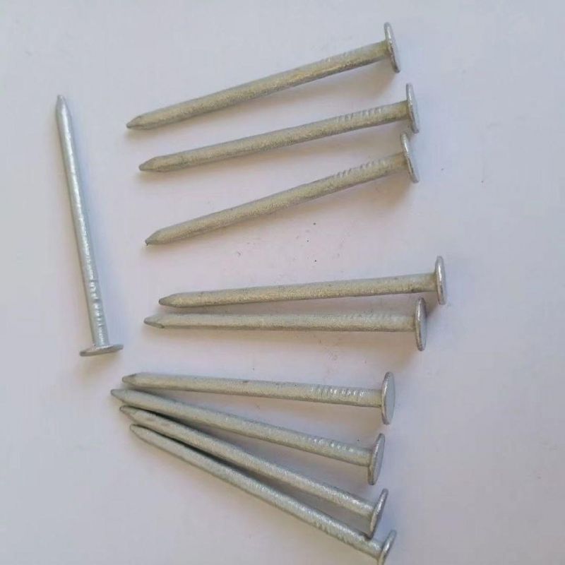 40*2.65mm Clout Nails Machanically Galvanised Service Class3 Manufactory