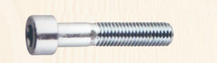 Carbon Steel Hexagonal Socket Head Bolt