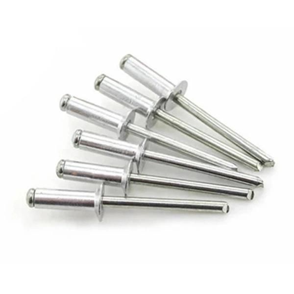 Plastic Multi Specification Drive Fasteners Snap Blind Rivet, China OEM ODM Nylon Fastener Clips Manufacturer
