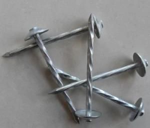 Spiral Shank Roofing Nail with Umbrella Head Umbrella Nails Galvanized Roofing Nails