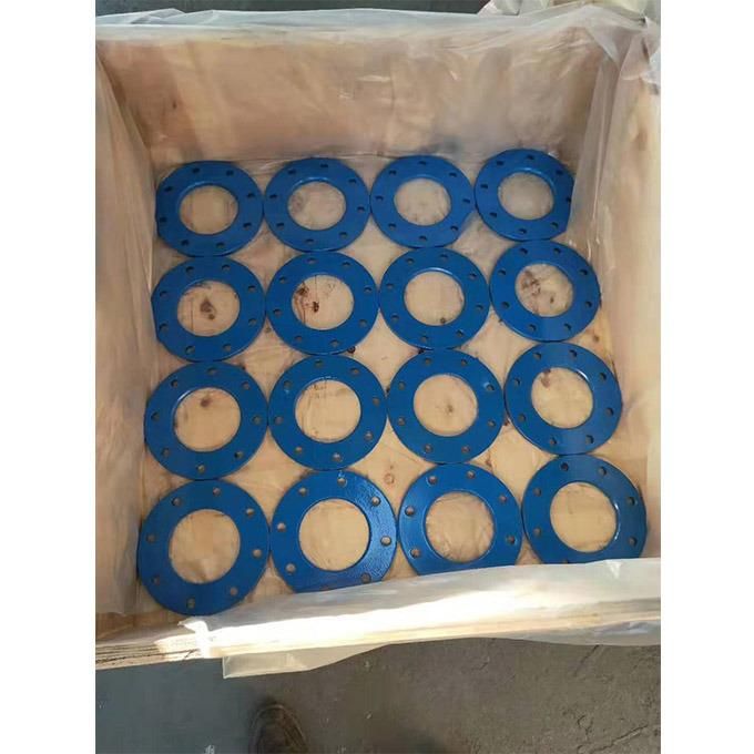 Custom Carbon Steel Blue Painting Plate Flange