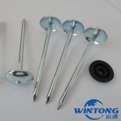 Roofing Nail Umbrella Head Smooth Shank Twisted Shank From Factory