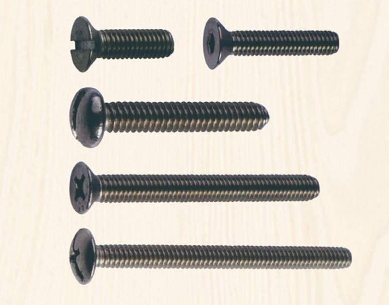 Stainless Steel Pan Head Csk Head Customized Head Machine Screw