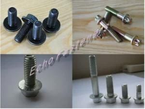 Flange Head Screw