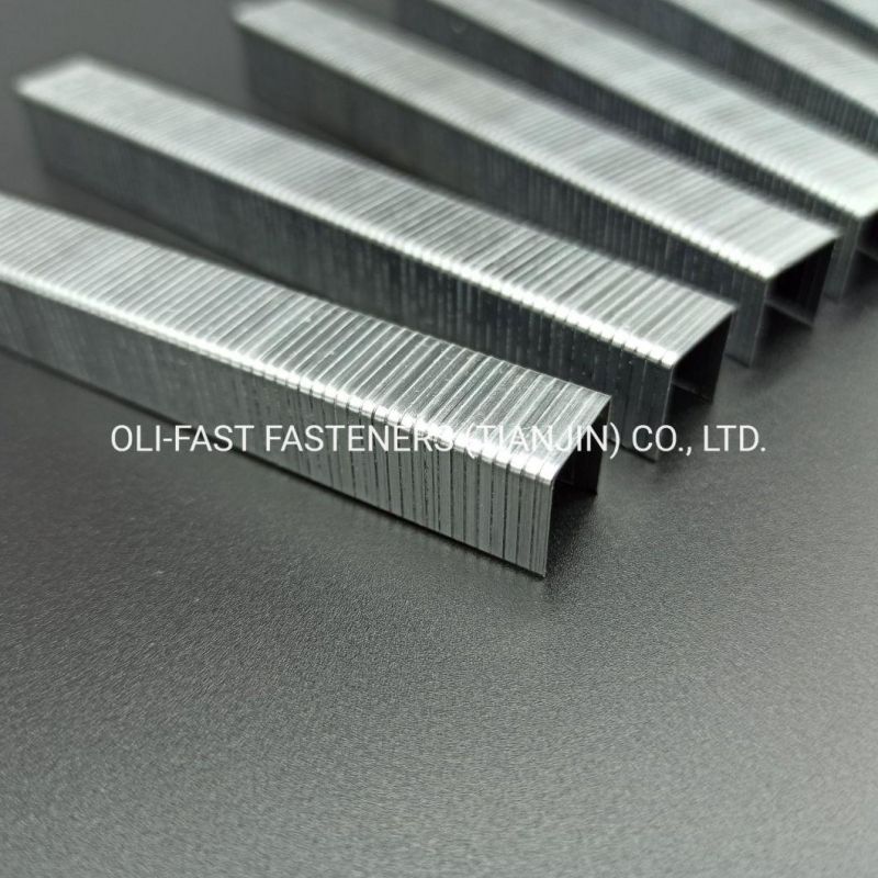 20ga 50 Series Industrial Staples China Factory Supply