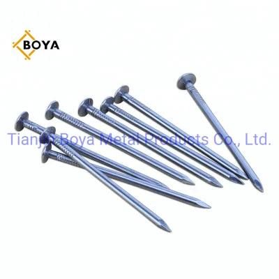 Q195 Flat Head Bright Polished Common Iron Wire Nails