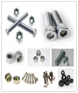 Carbon Steel Nuts, Stainless Steel Bolts, Galvanized Steel Screw